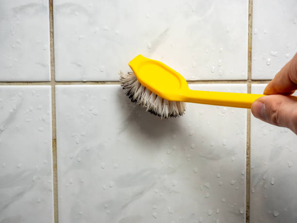 Best Mold Removal Company Near Me  in Nevada City, CA