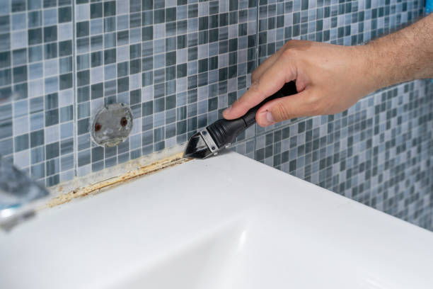 Best Mold Remediation  in Nevada City, CA