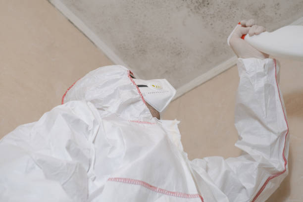 Best Mold Cleaning Services  in Nevada City, CA