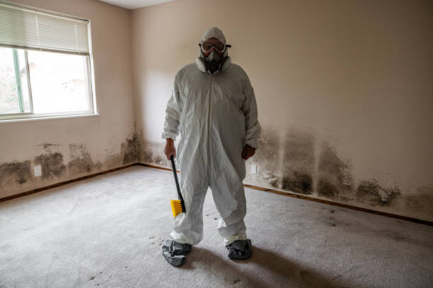 Best Emergency Mold Removal  in Nevada City, CA