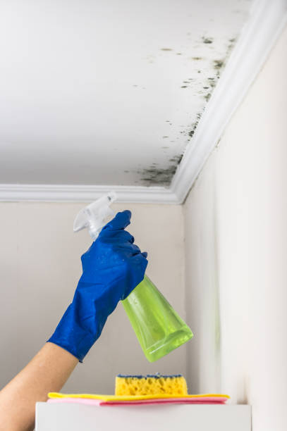 Water Damage Restoration in Nevada City, CA
